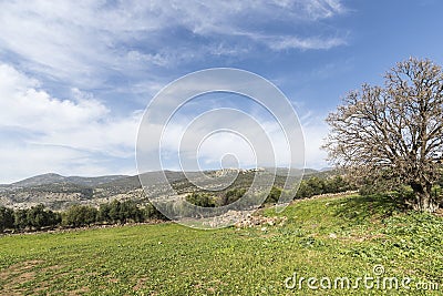 Israel. Galilee. Nimrod fortress. Stock Photo